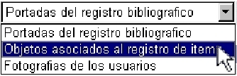 \resizebox*{0.37\columnwidth}{!}{\includegraphics{images/objetos_itemes/selitemesobjetos.eps}}