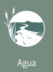 AGUA