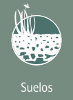 SUELOS